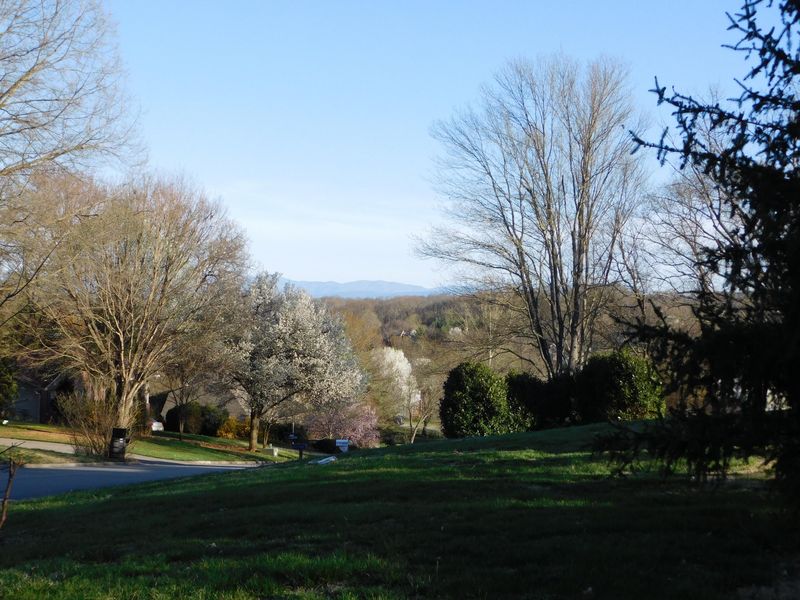 1709 Waterview Trl, Knoxville, TN 37922