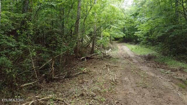 171 acres Scenic River Rd, Madisonville, TN 37354