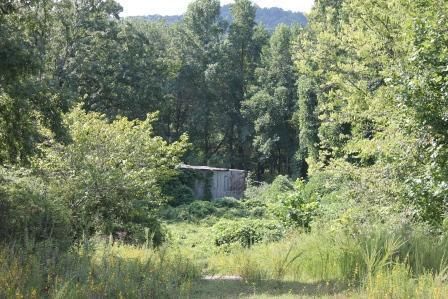 171 Ashe Cabin Hollow Rd, Harriman, TN 37748