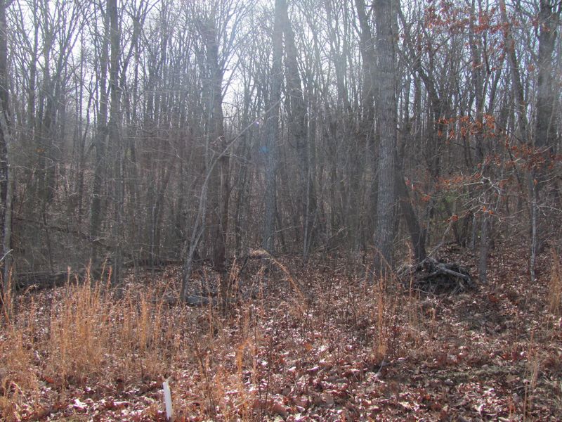 171 Natchez Cir, Fairfield Glade, TN 38558