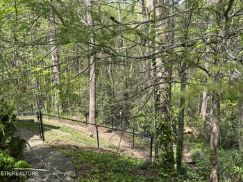 1713 Cardinal Dr, Gatlinburg, TN 37738