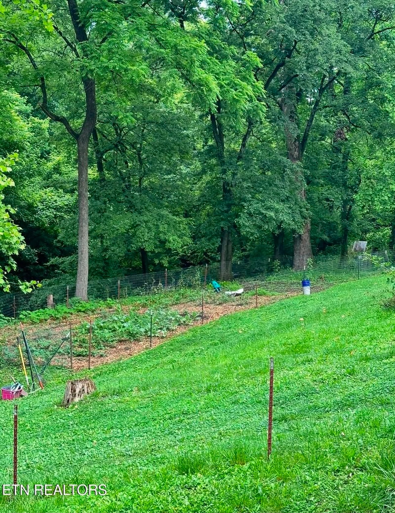 1715 Ellistown Rd, Knoxville, TN 37924