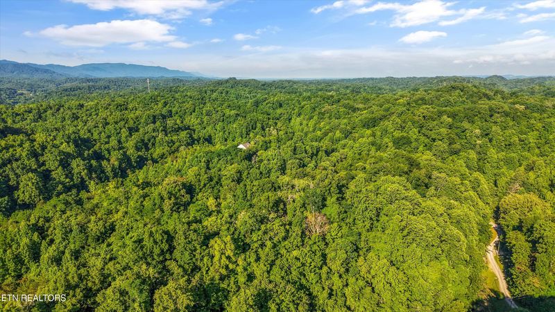 1717 Long Branch Rd, Seymour, TN 37865
