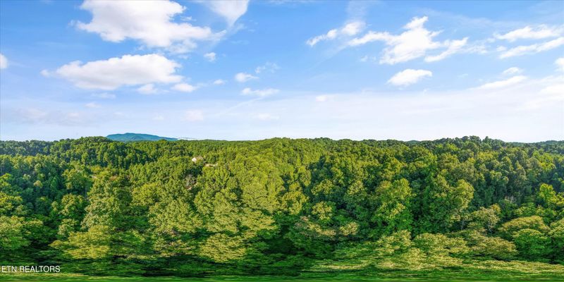 1717 Long Branch Rd, Seymour, TN 37865