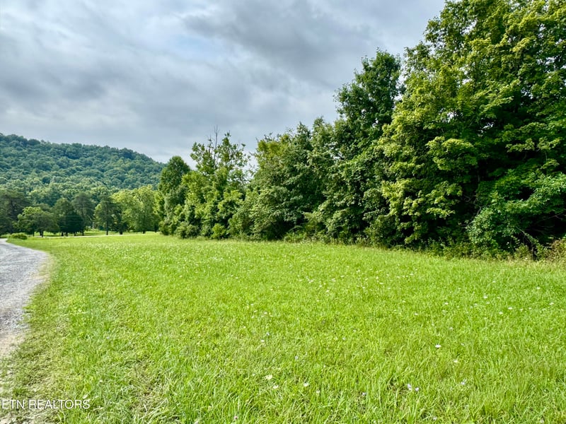 1717 W Raccoon Valley Dr, Heiskell, TN 37754