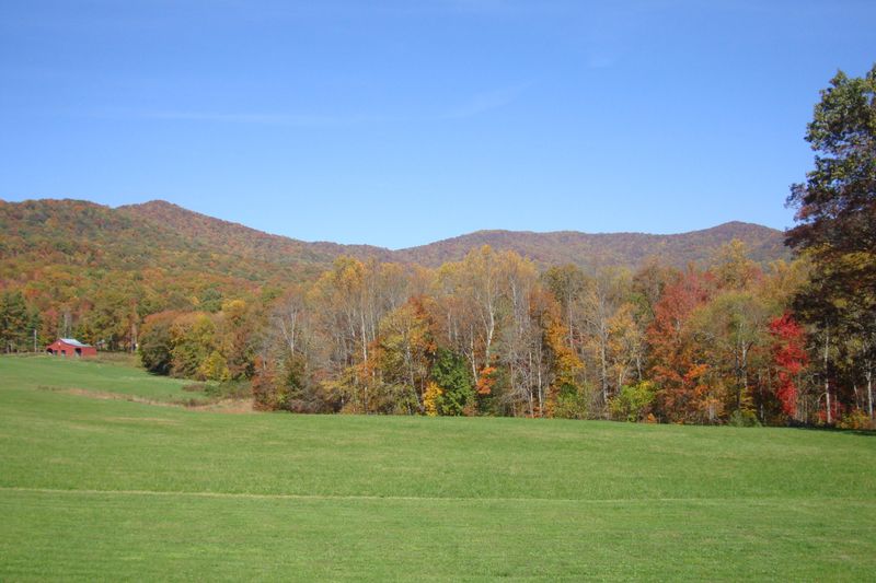 172 Ccc Rd, Wartburg, TN 37887