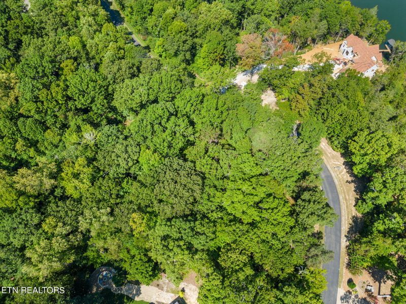 172 E Shore Dr, Rockwood, TN 37854