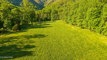 172 Pam Ln, Townsend, TN 37882
