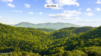 172 Pam Ln, Townsend, TN 37882