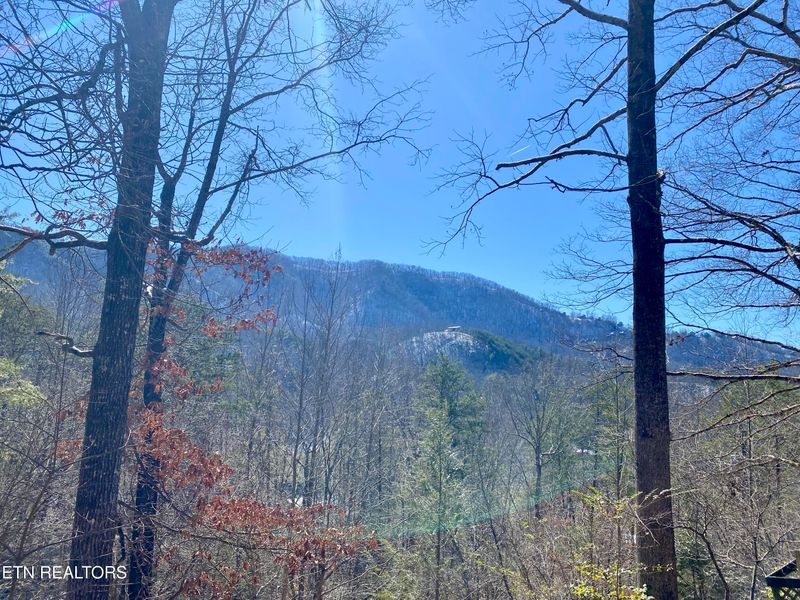 1724 Red Fox Ridge Way, Sevierville, TN 37862