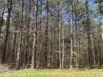1727 Grand Pine Point, Maryville, TN 37801