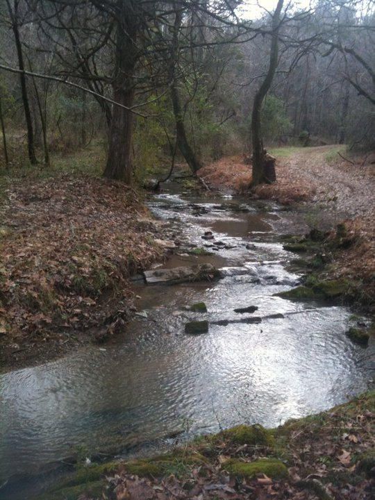 173 Nicely Ln, Blaine, TN 37709