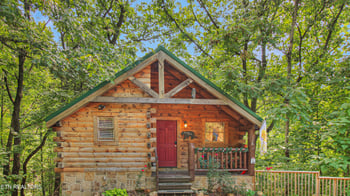 1732 Silver Poplar Ln, Sevierville, TN 37876