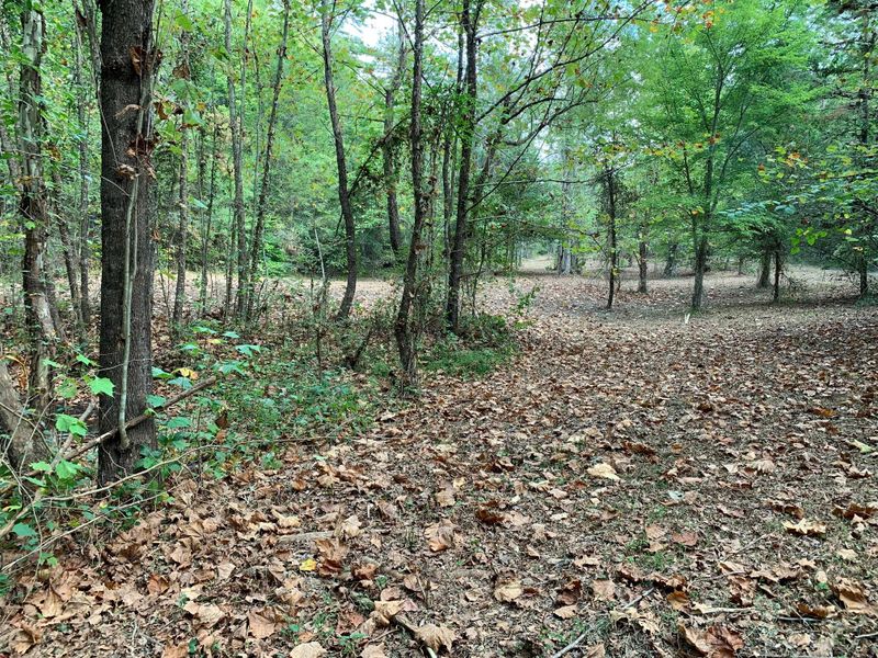 1732 Tall Pines Way, Sevierville, TN 37876