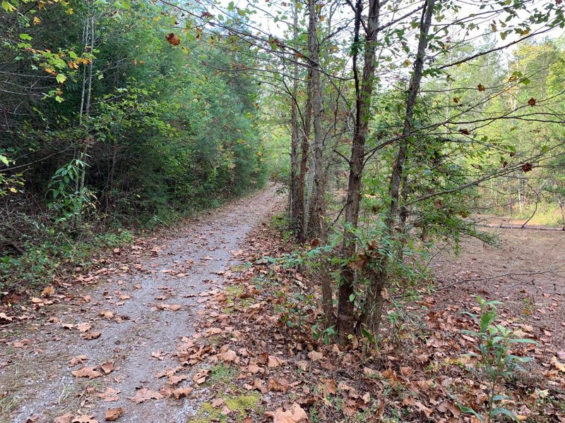1732 Tall Pines Way, Sevierville, TN 37876
