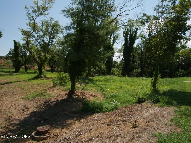 1735 Highway 411, Vonore, TN 37885