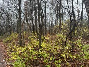 174 Veterans Rd, Sweetwater, TN 37874