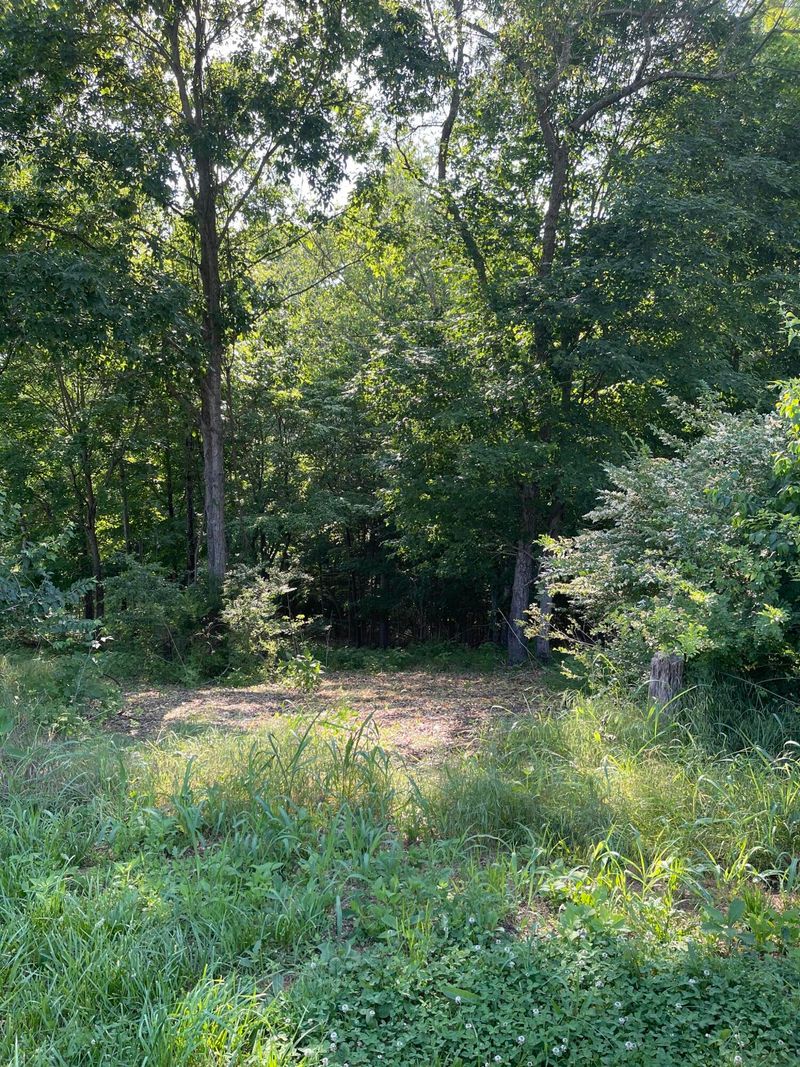1740 Pointe Dr, Talbott, TN 37877