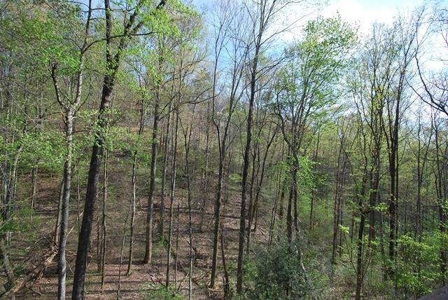 1744 Silver Poplar Ln, Pigeon Forge, TN 37876