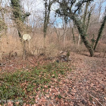 1747 E Old Topside Rd, Louisville, TN 37777