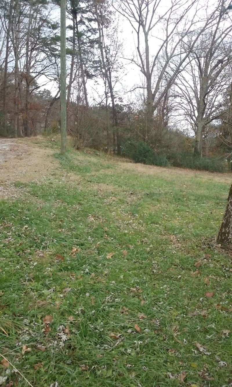 17473 Vonore Rd, Loudon, TN 37774