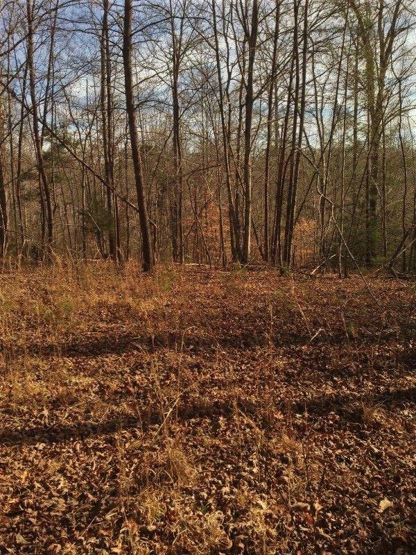 175 Harris Branch Rd, Madisonville, TN 37354