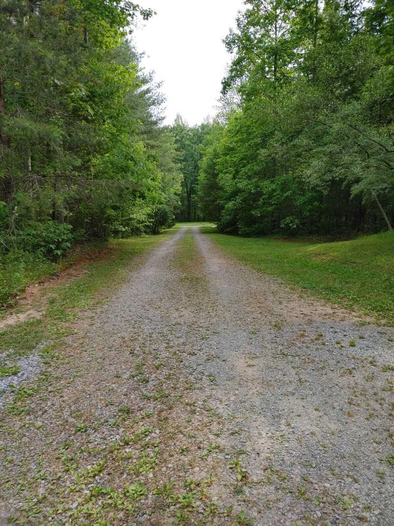 175 Massingale Rd, Tellico Plains, TN 37385
