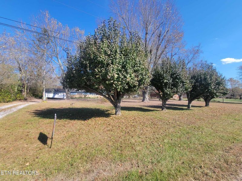 1751 Eldridge Loop, Crossville, TN 38571