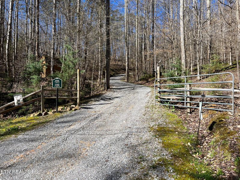 1755 Ar Davis Rd, Seymour, TN 37865