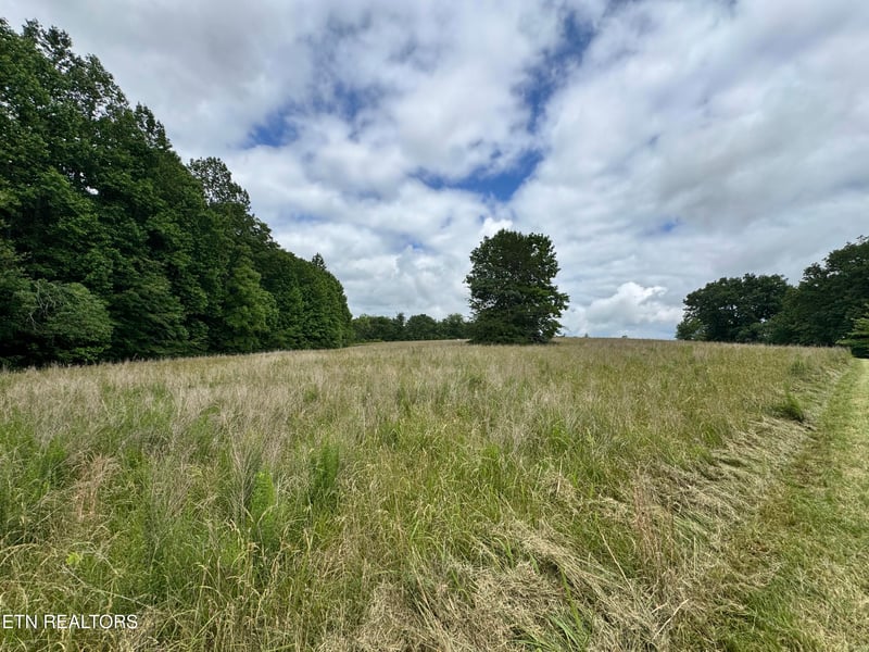 1759 Meister Hills Rd Dr, Deer Lodge, TN 37726