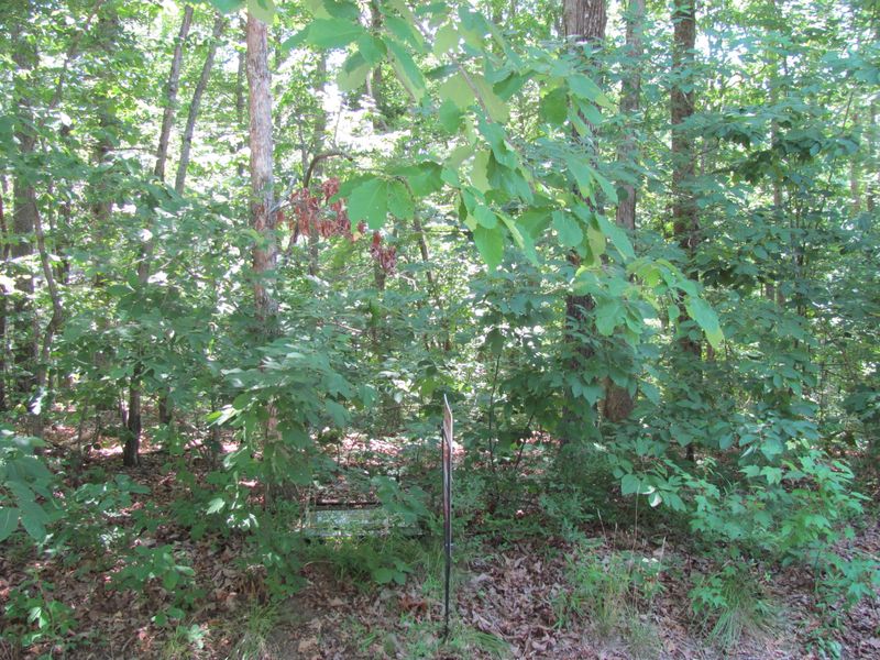 176 Warwickshire Dr, Fairfield Glade, TN 38558