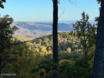 1763 Silver Poplar Ln, Sevierville, TN 37876