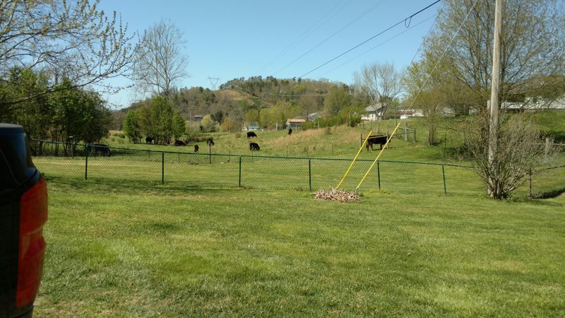 1769 Mullins Rd, Russellville, TN 37860