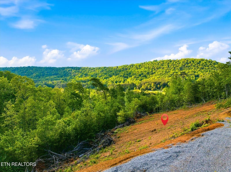 1776 Fairview Rd, Tellico Plains, TN 37385
