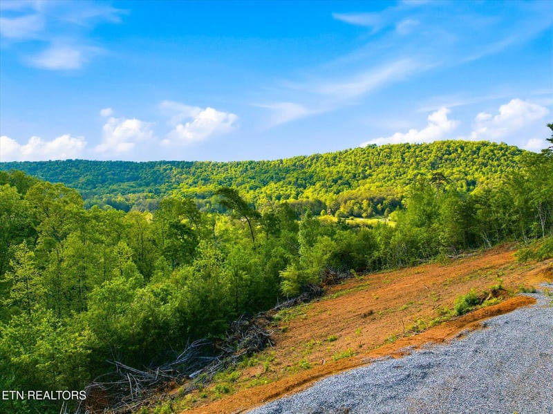 1776 Fairview Rd, Tellico Plains, TN 37385