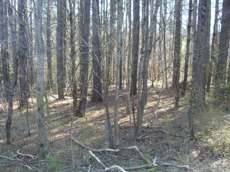 178 Inagehi Way, Loudon, TN 37774
