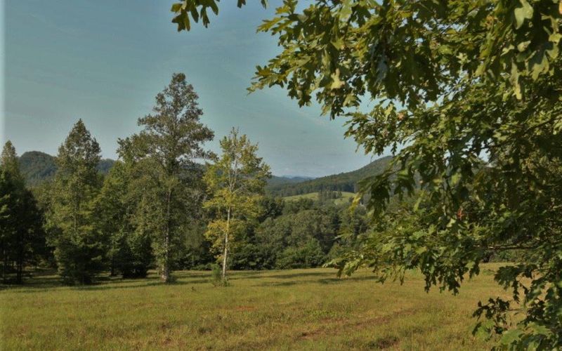 178 Welch Rd, Tellico Plains, TN 37385
