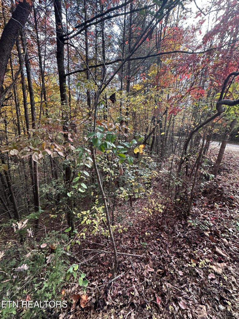 1781 Rich Mtn Way, Sevierville, TN 37876