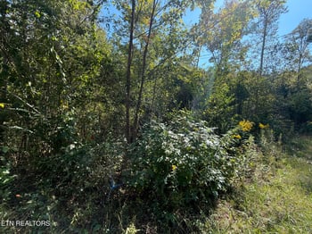 1783 Airport Rd, Oakdale, TN 37829
