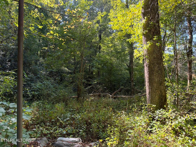 1783 Airport Rd, Oakdale, TN 37829