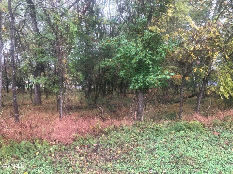 179 Dudi Trl, Vonore, TN 37885