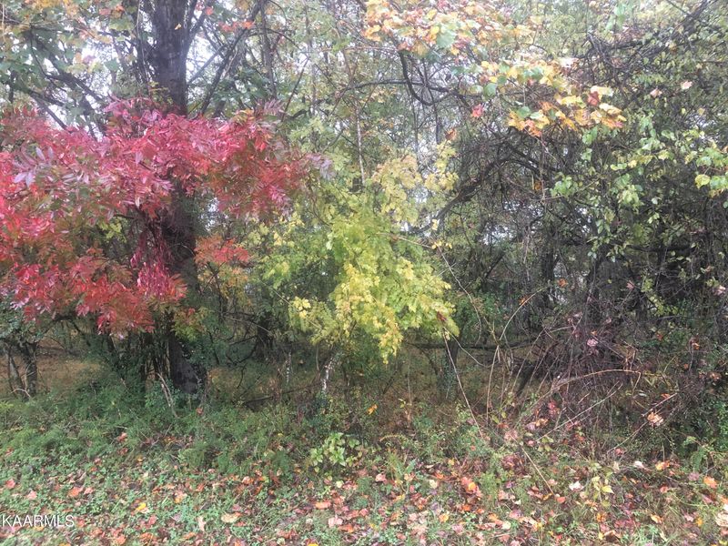 179 Dudi Trl, Vonore, TN 37885