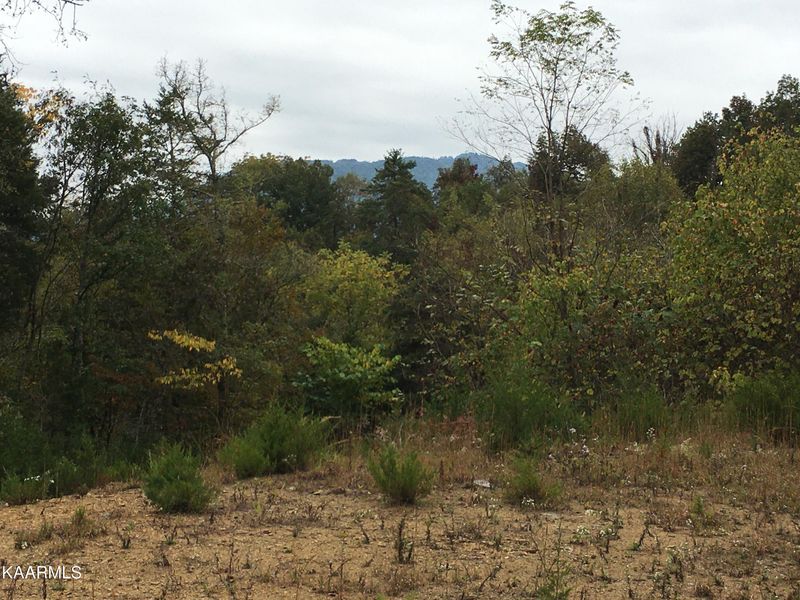 179 Pleasant Hill Rd, Sevierville, TN 37876