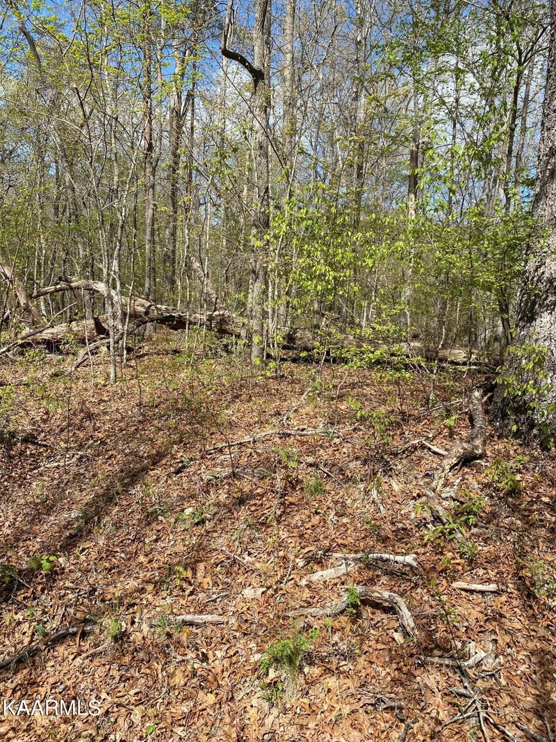 18 Bruceshire Ct, Fairfield Glade, TN 38558