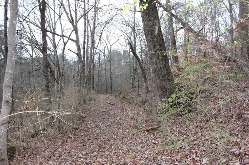 18.07 Acre Echodale & W Martin Mill, Knoxville, TN 37920