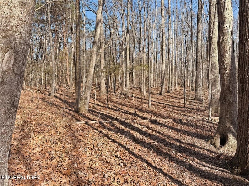 180 Hill Rd, Knoxville, TN 37938