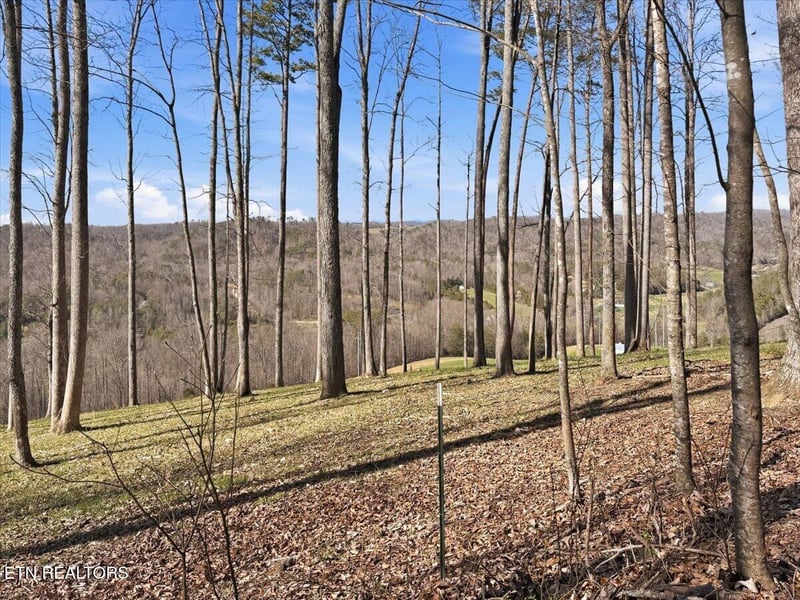 180 Hill Rd, Knoxville, TN 37938