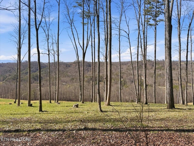 180 Hill Rd, Knoxville, TN 37938