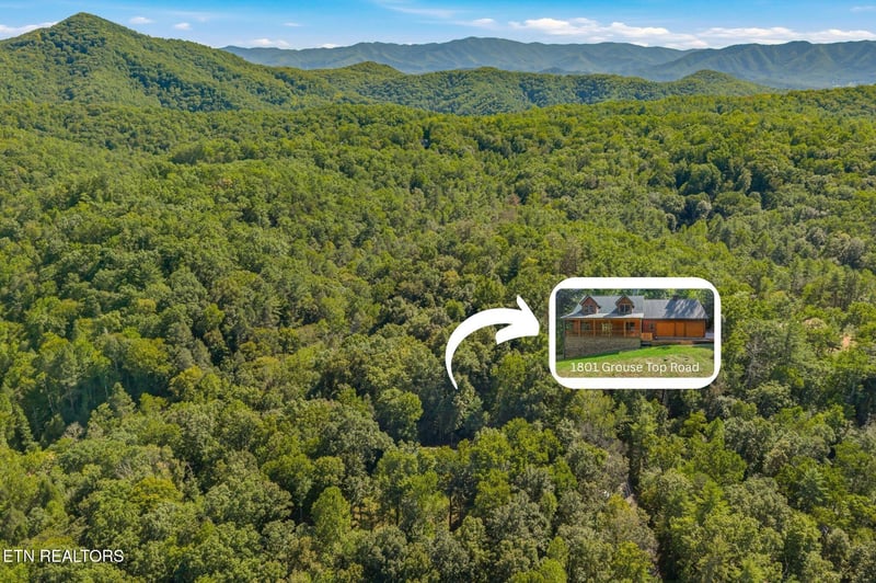 1801 Grouse Top Rd, Walland, TN 37886
