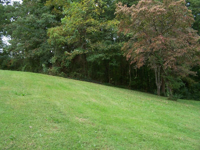 1805 Steekee Creek Rd, Loudon, TN 37774